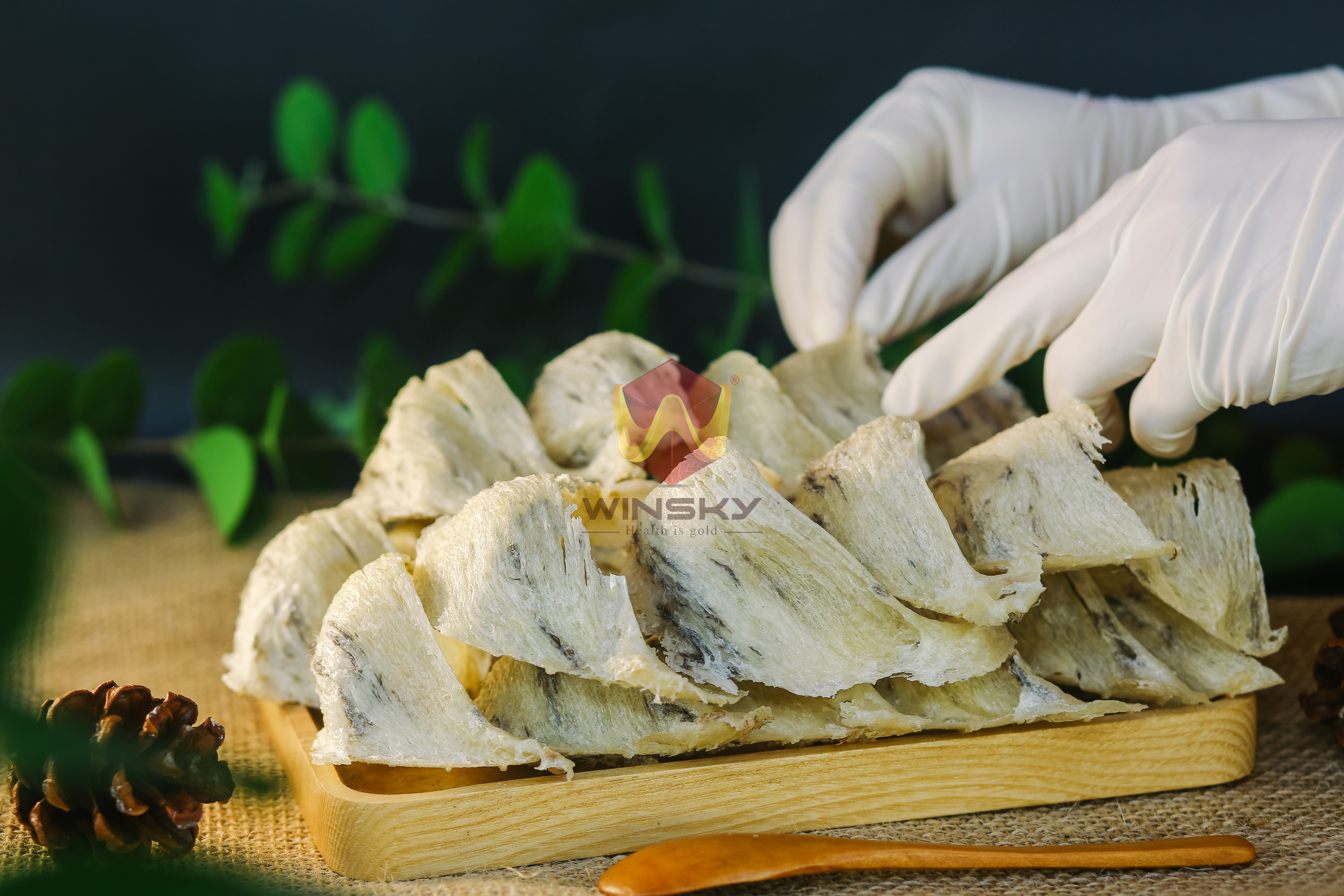 Tổ yến sào thô nguyên tổ loại A [Nguyên Chất 100%] 50gr